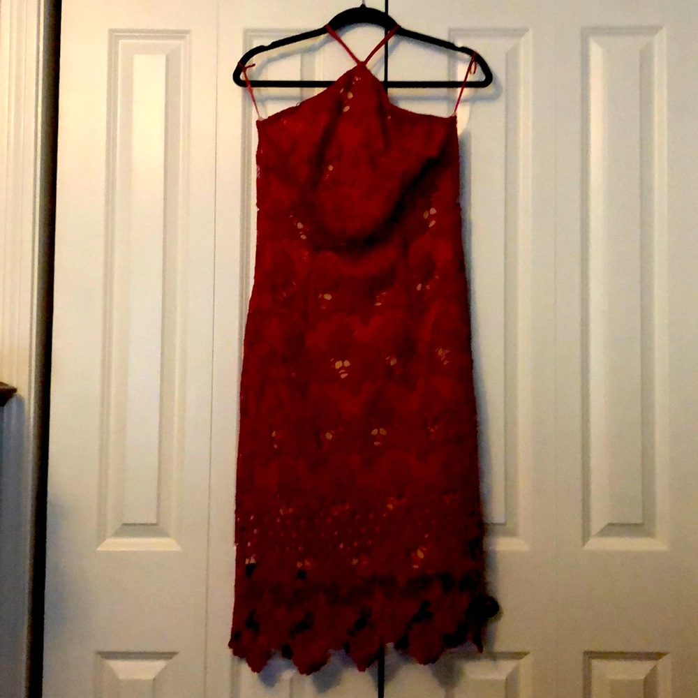 Venus magenta lace cocktail dress.